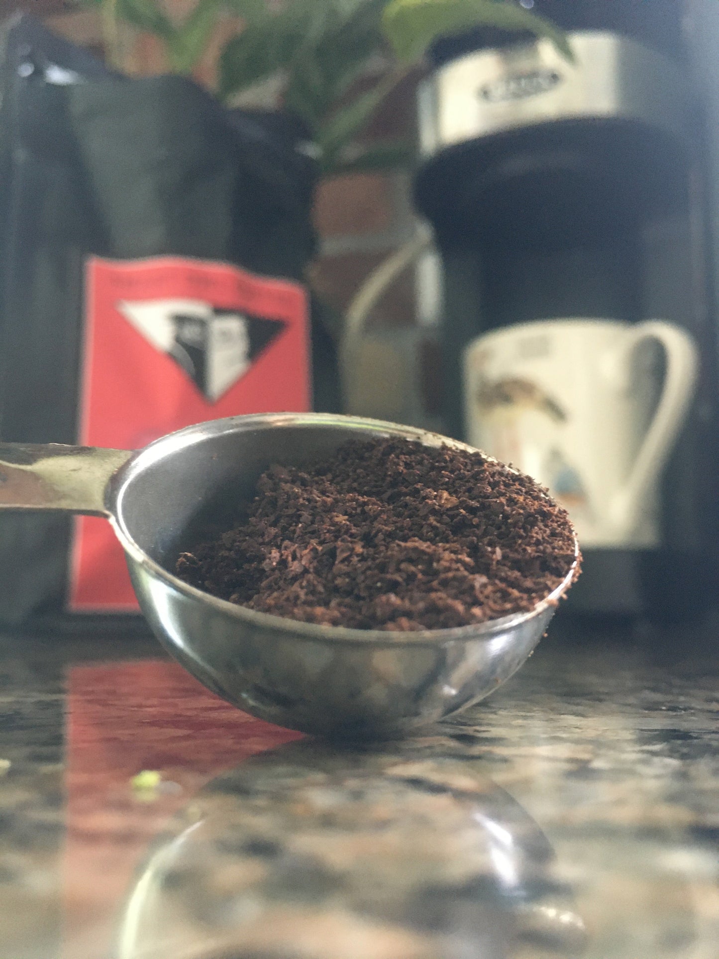 Immune Blend | 12 oz Ground Coffee